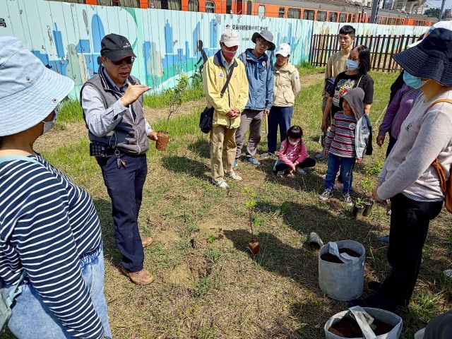 蔡景株講師解說小西氏石櫟種植方法