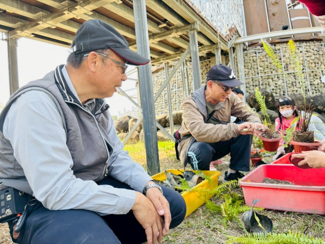 腎蕨DIY換盆體驗