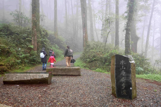 林韋君走訪「水山療癒步道」，體驗鐵道轉型步道的原始土路與蕨類生態