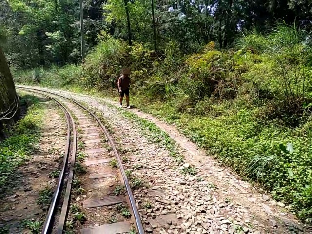 林鐵處會同嘉義縣警察局竹崎分局於眠月線1.85公里處發現違法行走軌道遊客