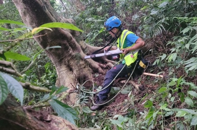 嘉義大學利用儀器確認樹木基部生長狀況