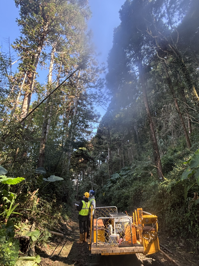 林鐵處與嘉義大學勘查林鐵沿線影響木