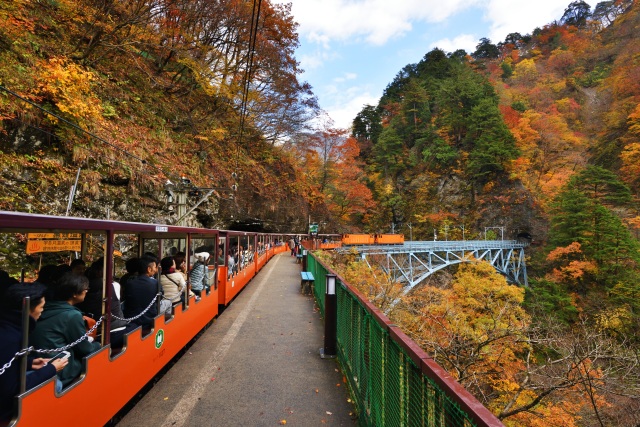 後曳橋とトロッコ列車
