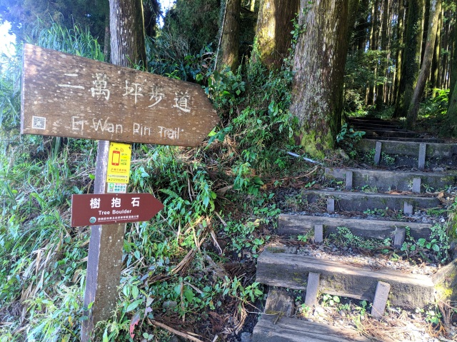 「二萬平樹抱石」入口指標