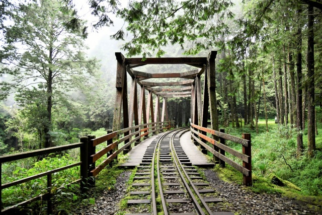 水山步道木棧橋-林鐵及文資處提供