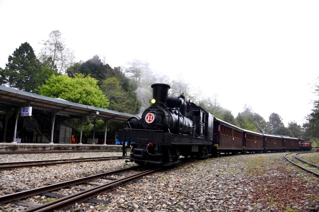 SL31蒸汽火車與祝山車站