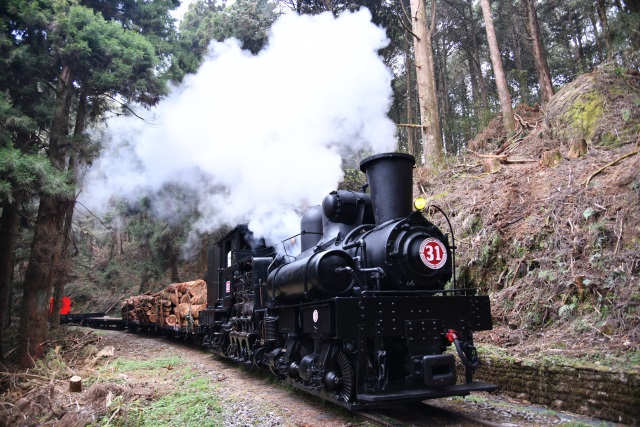 蒸気機関の伐採列車