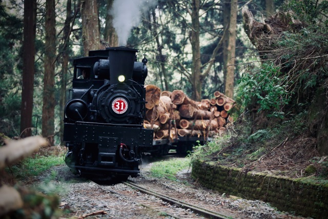蒸気機関の伐採列車