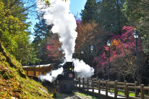 阿里山最浪漫季節 絕美賞櫻列車 即將開放訂票