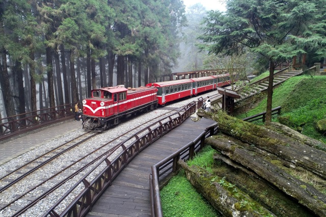 阿里山林鐵神木車站(林鐵處吳明翰拍攝)