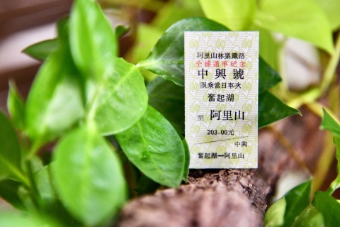 阿里山林鐵3年5票最終票「奮起湖-阿里山」7月6日開賣