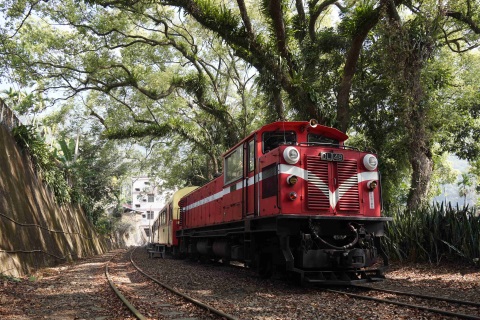 暑假限定 《聽林鐵說故事》主題列車 帶領遊客玩小站、看火車調頭