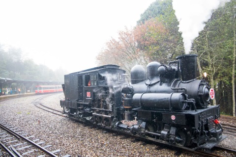 林鐵《SL-31蒸汽火車》主題列車 阿里山花季限定體驗