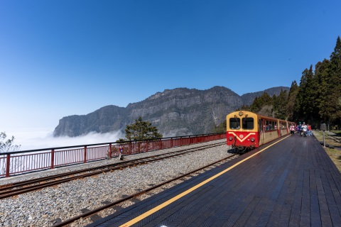 天涼好個秋！阿里山季節限定蒸機賞楓列車 11月18日開放訂票