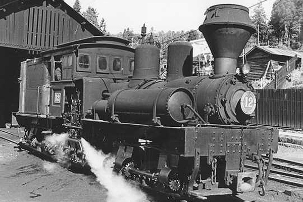 シェイ式蒸気機関車(ポジティブ)