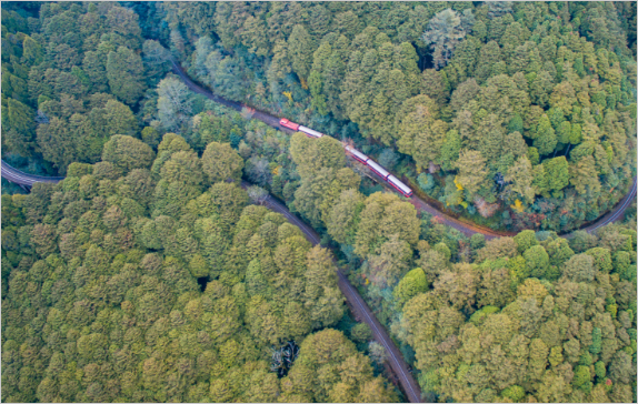There is a typical 180-degree return bend on the section between Zhuqi Station and Mululiao Station of Alishan Forest Railway.