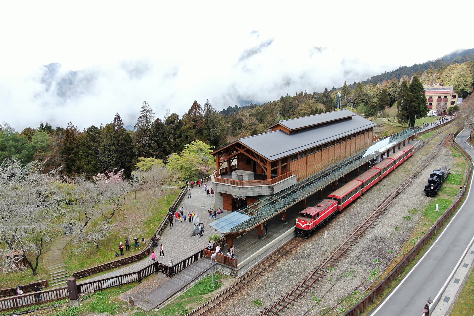 Alishan Forest Railway unveils 'Vivid Express' inspired by indigenous  Taiwan bird, Taiwan News