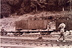 1968,Cargo train, for lumber-delivery, in Alishan Station. The conductor observed the condition and the locomotive dragged forward.